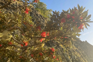 Maurice : Le Morne : Randonnée intime loin de la foule