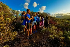 Mauritius: Le Morne Mountain UNESCO Öko-Wanderung