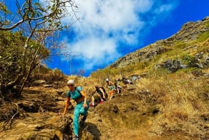 Mauritius: Le Morne Mountain UNESCO Öko-Wanderung