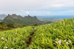 Mauritius: Geführte Wanderung auf den Le Pouce mit einem ortskundigen Guide