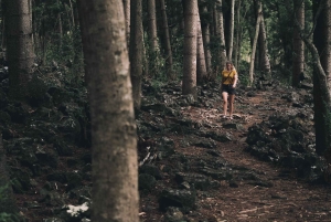 Mauritius like a local: private trip with hotel & activities