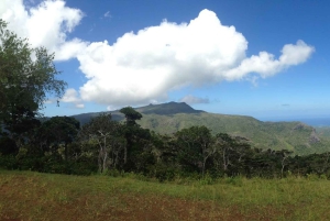 Mauritius National Park: ontdek het eiland zoals het ooit was