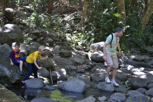 Mauritius National Park: ontdek het eiland zoals het ooit was
