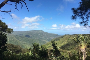 Mauritius National Park: ontdek het eiland zoals het ooit was