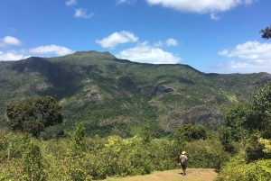 Mauritius National Park: ontdek het eiland zoals het ooit was