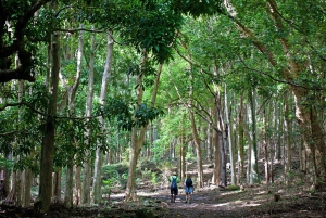 Mauritius National Park: ontdek het eiland zoals het ooit was
