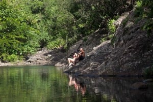 Mauritius National Park: ontdek het eiland zoals het ooit was