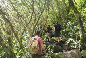 Mauritius National Park: ontdek het eiland zoals het ooit was