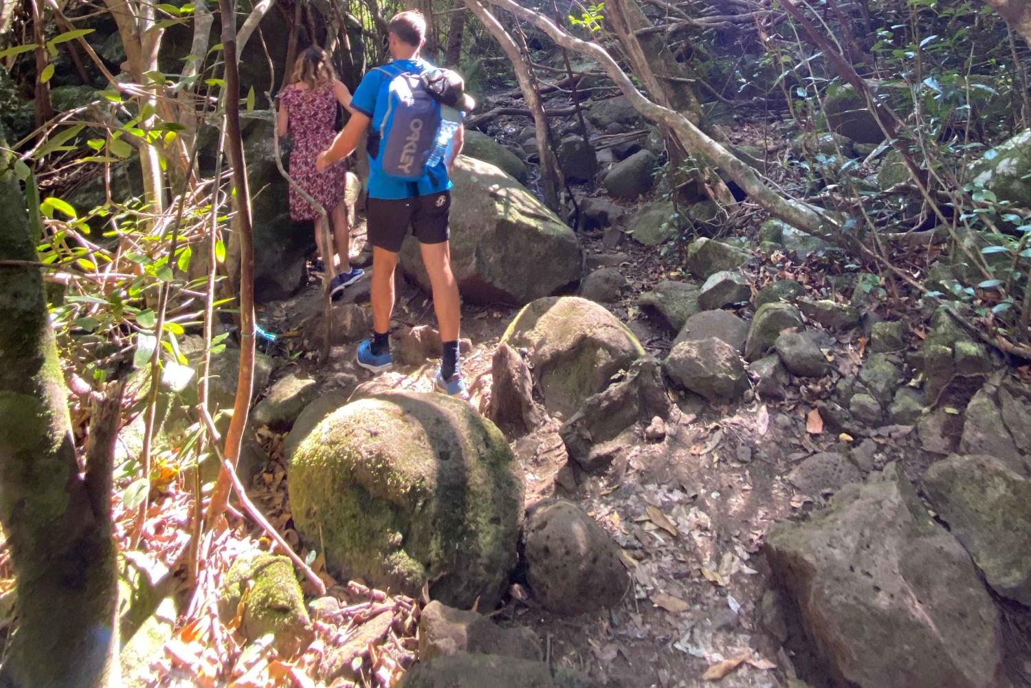 Mauritius Natirel :Tamarind Falls discovery/Adventure