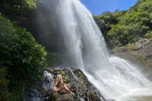 Mauritius Natirel :Tamarind Falls discovery/Adventure