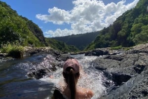 Mauritius Natirel :Tamarind Falls discovery/Adventure