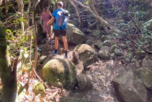 Mauritius Natirel :Tamarind Falls discovery/Adventure