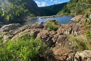 Mauritius Natirel :Tamarind Falls discovery/Adventure