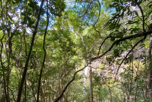 Mauritius Natirel :Tamarind Falls discovery/Adventure