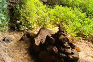 Mauritius Natirel :Tamarind Falls discovery/Adventure