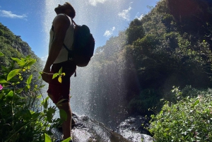Mauritius Natirel :Tamarind Falls discovery/Adventure