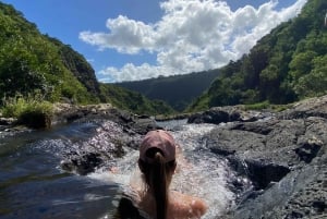 Mauritius Natirel: Entdeckung/Abenteuer Tamarind Falls