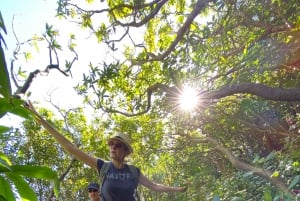 Mauritius Natirel: Entdeckung/Abenteuer Tamarind Falls