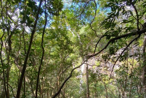 Mauritius Natirel: Entdeckung/Abenteuer Tamarind Falls
