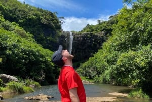 Mauritius Natirel: Entdeckung/Abenteuer Tamarind Falls