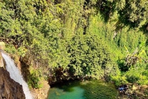 Norte de Mauricio: cultura, historia, snorkel y cascadas