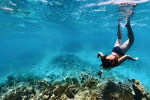 Norte de Mauricio: cultura, historia, snorkel y cascadas