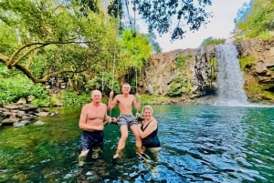 Norte de Mauricio: cultura, historia, snorkel y cascadas