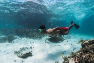 North East of Mauritius: Catamaran Cruise w/ BBQ Lunch