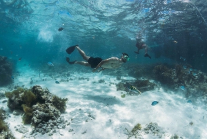 North East of Mauritius: Catamaran Cruise w/ BBQ Lunch