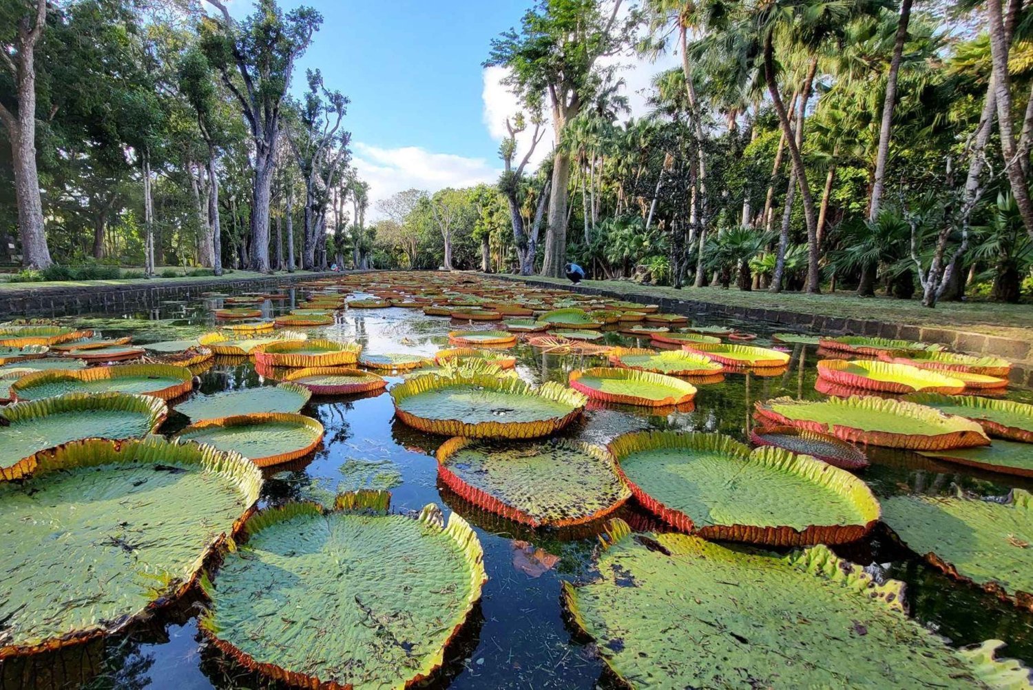 Mauritius: North Island Private Full Day Tour with a Local