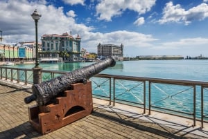 Mauritius: North Island Private Full Day Tour with a Local