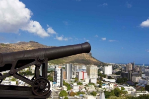 Mauritius: North Tour with Tea Tasting & Oceanarium Entry