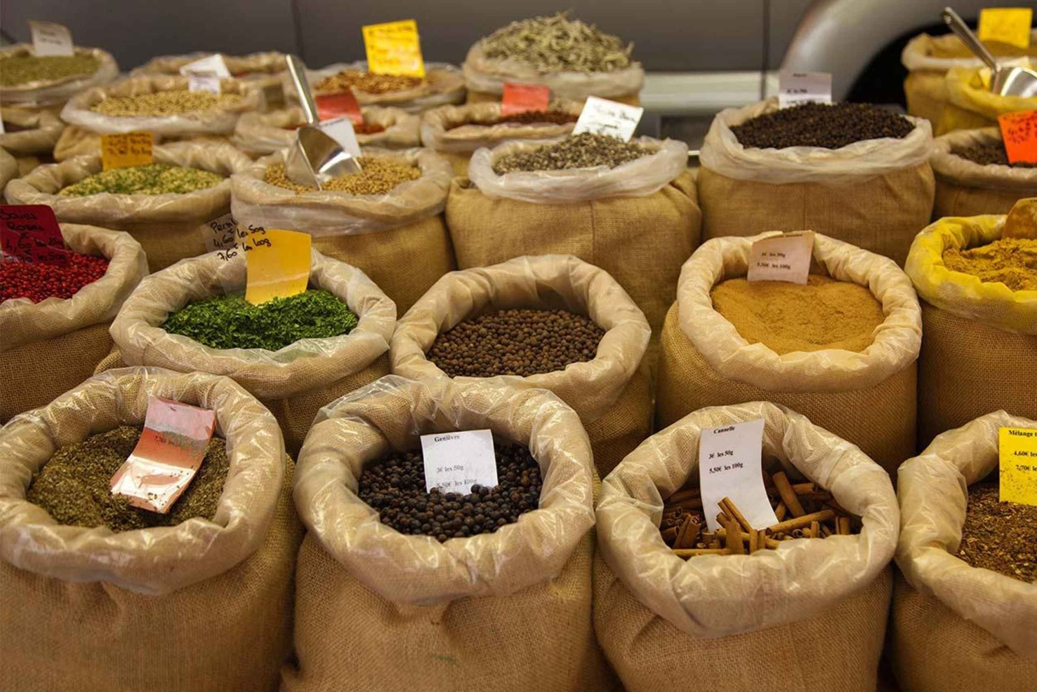 Mauritius: tour del nord con degustazione di tè e visita all'acquario