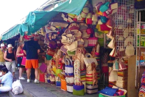 Mauritius: tour del nord con degustazione di tè e visita all'acquario
