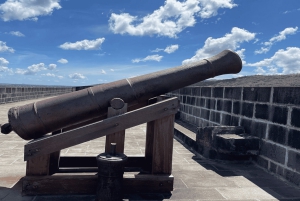 Mauritius: Tour durch den Norden mit Markt, Tempel und Strand in Port Louis