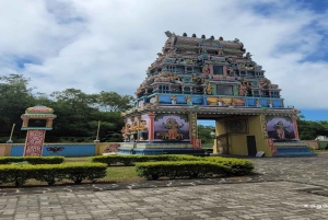 Mauritius: Tour durch den Norden mit Markt, Tempel und Strand in Port Louis
