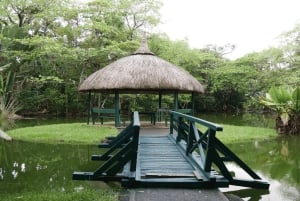 Mauritius: Tour durch den Norden mit Markt, Tempel und Strand in Port Louis