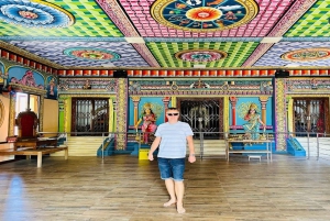 Mauritius: Tour durch den Norden mit Markt, Tempel und Strand in Port Louis