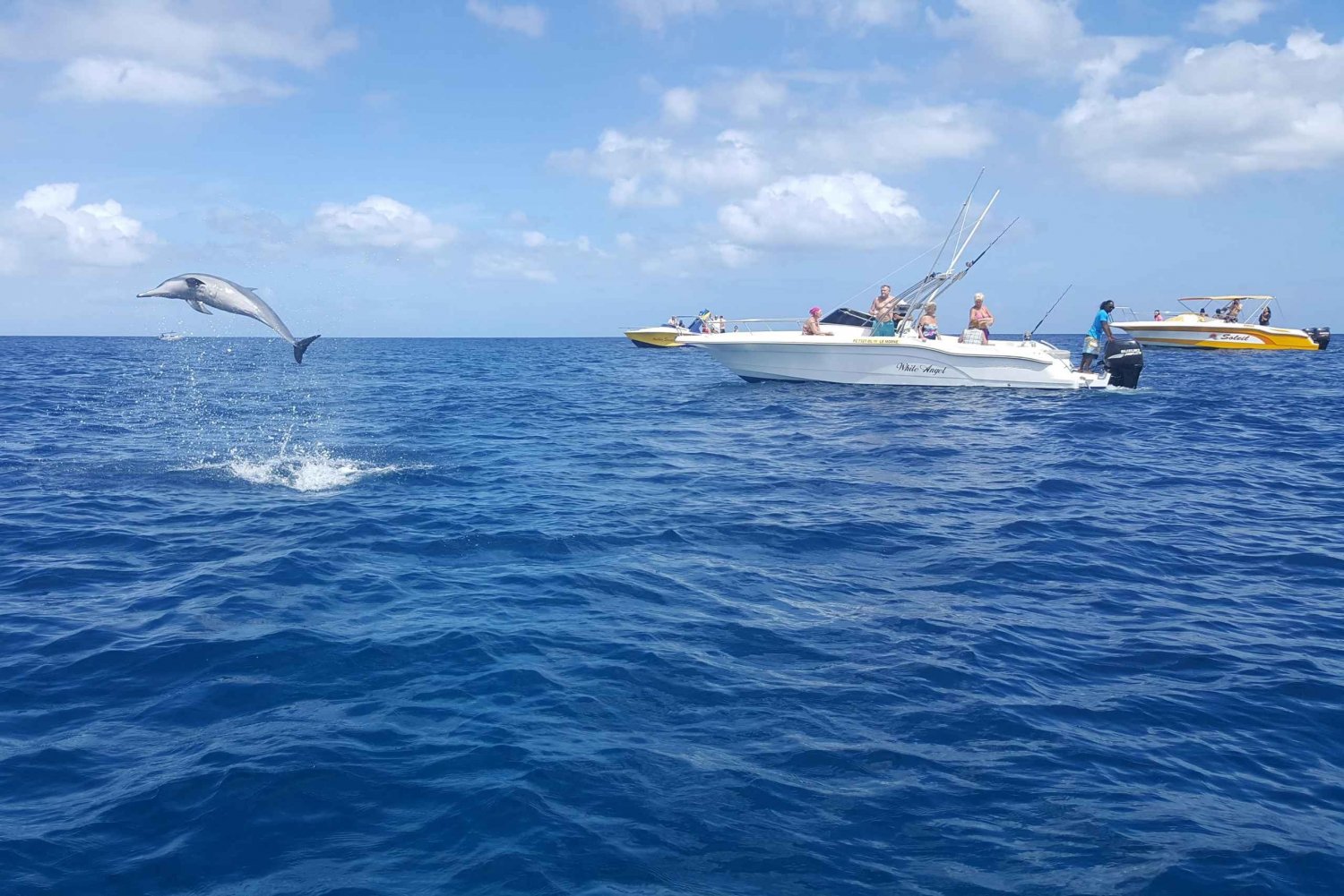 Mauritius: Schwimmen im Ozean mit Delfinen & Benetiers Island Tour