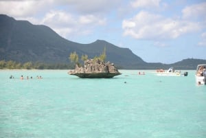 Mauritius: Ocean Swim with Dolphins