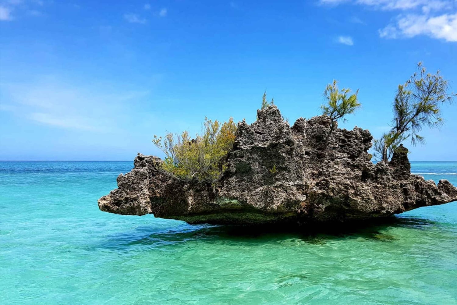 Mauritius: Ocean Swim with Dolphins