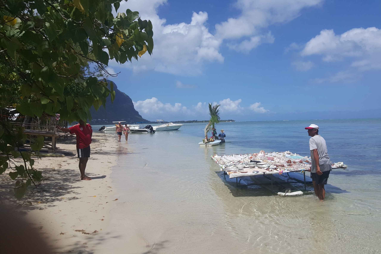 Mauritius: Ocean Swim with Dolphins