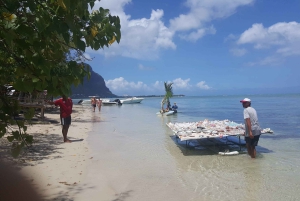 Mauritius: Ocean Swim with Dolphins