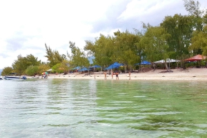 Mauritius: Ocean Swim with Dolphins