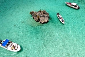 Mauritius: Ocean Swim with Dolphins