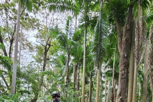 Mauritius: On-road Moottoripyörä kokopäiväretki