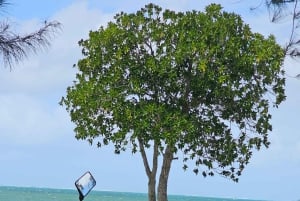 Mauritius: On-road Moottoripyörä kokopäiväretki