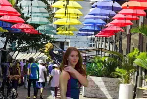 Mauritius: On-road Moottoripyörä kokopäiväretki