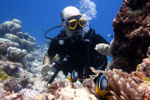 Mauritius: Padi Open-Water Diving Course