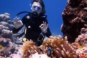 Mauritius: Padi Open-Water Diving Course